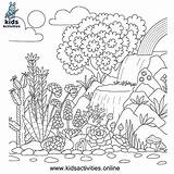 Rainbow Coloring Pages Flowers Kids Flower Sheet Waterfall sketch template
