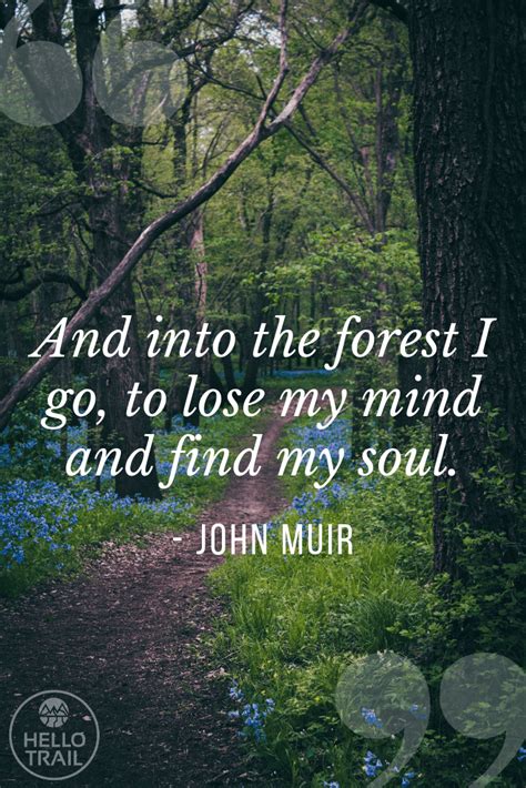 hiking quotes   inspire