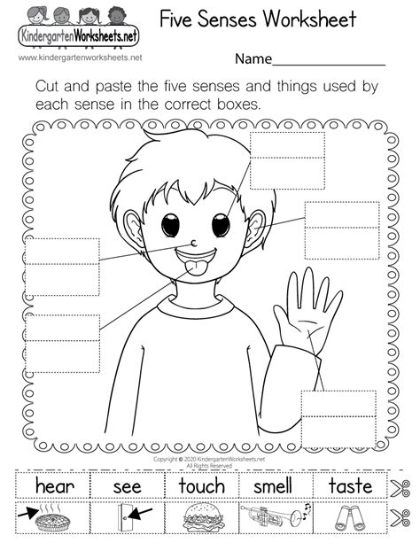 printable  senses worksheet