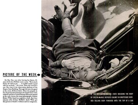 crazy sense of smell evelyn mchale and her most beautiful