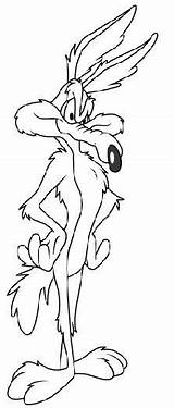 Coloring Pages Looney Tunes Coyote Cartoon Wile Para Colorear Road Imprimir Runner Characters A4 Yosemite Sam Disney Book Dibujos Choose sketch template