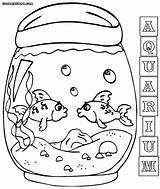 Aquarium Coloring Pages Fish Tank sketch template