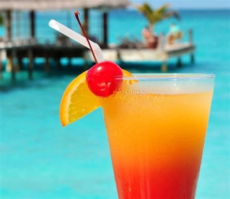 Drink sex on beach