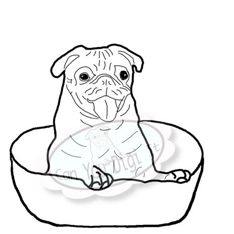 pug coloring pages    print   simple coloring blog