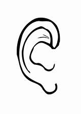 Ear Coloring sketch template