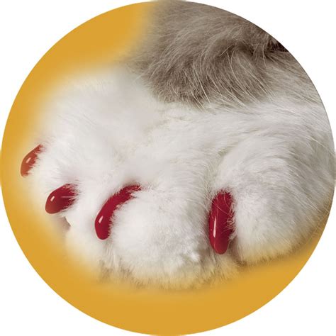 soft claws red cat nail caps petco