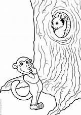 Monos Apinat Affen Varityskuvia Tulosta Drucken sketch template
