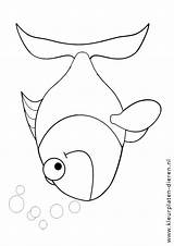Kleurplaten Vissen Vis Belletjes Dieren sketch template