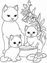 Cat Coloring Cats Pasta Escolha Para Color Book Desenhos Colorir sketch template