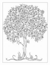 Coloring Pages Designs Book Detailed Floral Beautiful Flowers Choose Board Books sketch template
