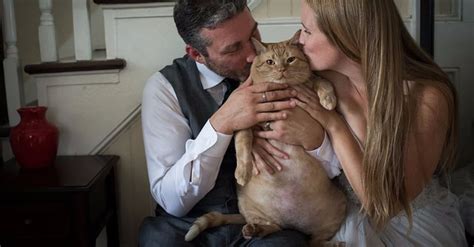 couple s large cat in wedding photos popsugar love and sex