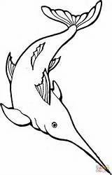 Marins Mar Espada Colorear Peixe Peces Desenho Animali Marinos Tiburones Acuaticos Swordfish Pescados Pesci Marine Focas Torna sketch template
