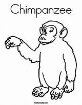 Chimpanzee Szympans Kolorowanki Ausmalbild Dzieci Bestcoloringpagesforkids Wydruku sketch template