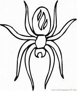 Coloring Pages Spider Spiders Printable Sheets Halloween Library Clipart Popular sketch template