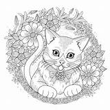 Erwachsene Katzen Malbuch sketch template