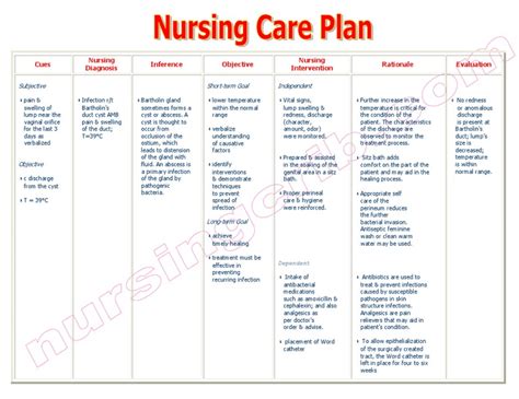 Nursing Care Plan Infection Bartholins Duct Cyst