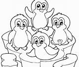 Penguin Coloring King Pages Printable Getcolorings sketch template