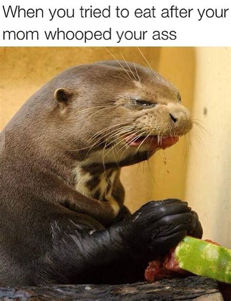 mom whooped you with images funny pictures funny