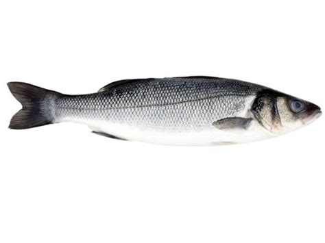 sea bass nutrition facts eat