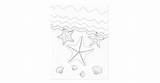 Starfish Adult Coloring Postcard sketch template