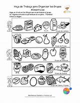 Colorear Grupos Alimenticios Hoja Clasificar Imprimible Descargue Casilla Derecha sketch template