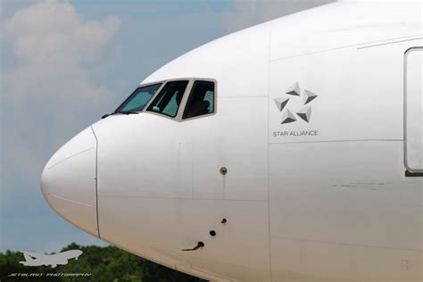 close    singapore airlines  nose aviation