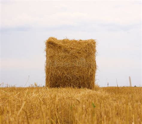 bale  hay stock image image  coloured haymaking