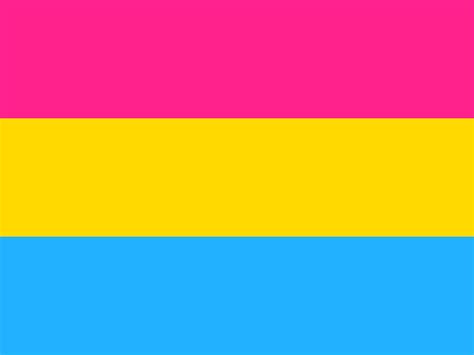 buy pansexual pride flag online printed and sewn flags 13 sizes