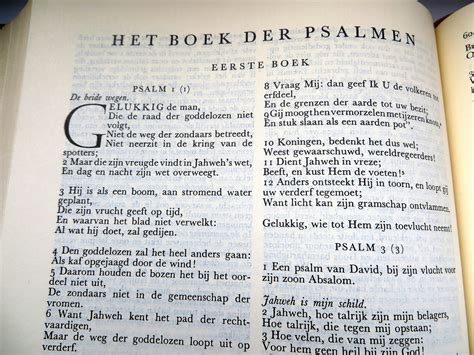 liefde en trouw aan de kerk het boek der psalmen  epub formaat