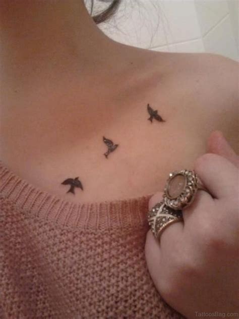 favorite birds tattoos  chest