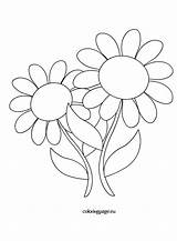 Daisies Coloring Reddit Email Twitter Coloringpage Eu sketch template