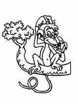Apen Kleurplaten Aap Singe Kleurplaat Boom Malvorlage Affen Coloriages Banaan Dieren Mewarnai Monyet Animasi Scimmie Singes Malvorlagen Coloriage Animaties Bewegende sketch template
