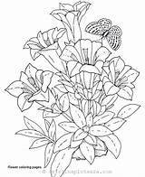 Colorat Flori Desene Planse Plante sketch template