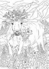 Cow Flowers Coloring Pages Adult Printable Adults Favoreads Flower Book Colouring Animal Sheets Horse Spring Club Sold Etsy Nature Kids sketch template
