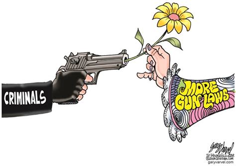 gun control 5 obama care cartoons