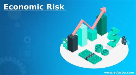 economic risk complete guide  economic risk