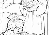 Coloring Shepherd Sheep Getcolorings Lost Little Printable Pages sketch template
