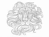 Coloring Mane Flowing Lion sketch template