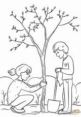 Coloring Planting Tree Pages Girl Boy Drawing Printable sketch template