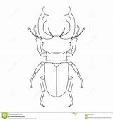 Stag Beetle Designlooter Cervus Lucanus sketch template