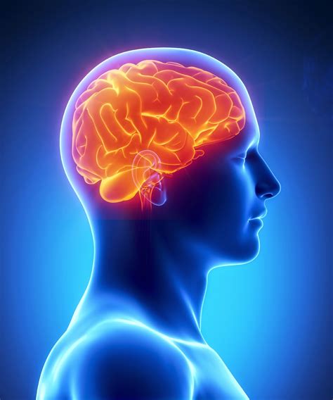 inflammation  brain      severe depression    smart