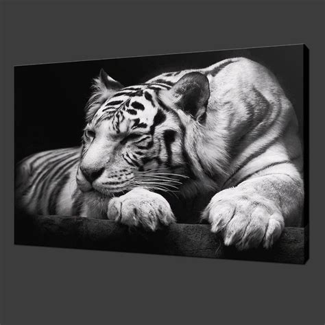 modern tiger wall art hd painting  canvas single animal prints pictures decor  living room