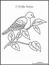 Getdrawings Doves Turtle Drawing Twelve Coloring Days sketch template
