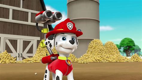 Watch Paw Patrol Season 2 Episode 9 Pups Save A Talent Show Full