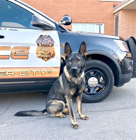 Rome Police Departments K9 Arko To Get Donation Of Body Armor Rome