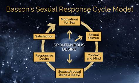 understanding the sexual response cycle kelly mcdonnell arnold medium