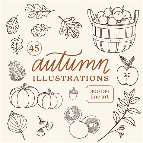 autumn illustrations fall harvest  drawings clipart png etsy