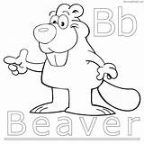 Beaver Dam Coloringfolder Beavers sketch template