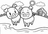 Cerdos Pigs Ausmalbilder sketch template