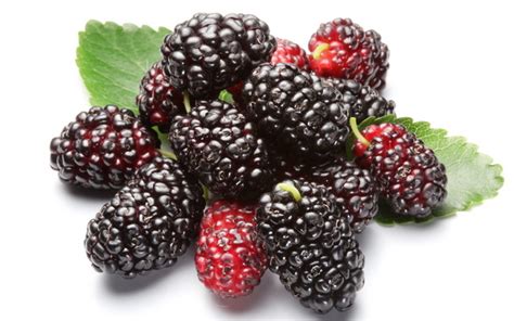 Sexual enhancement herbal tea recipes
